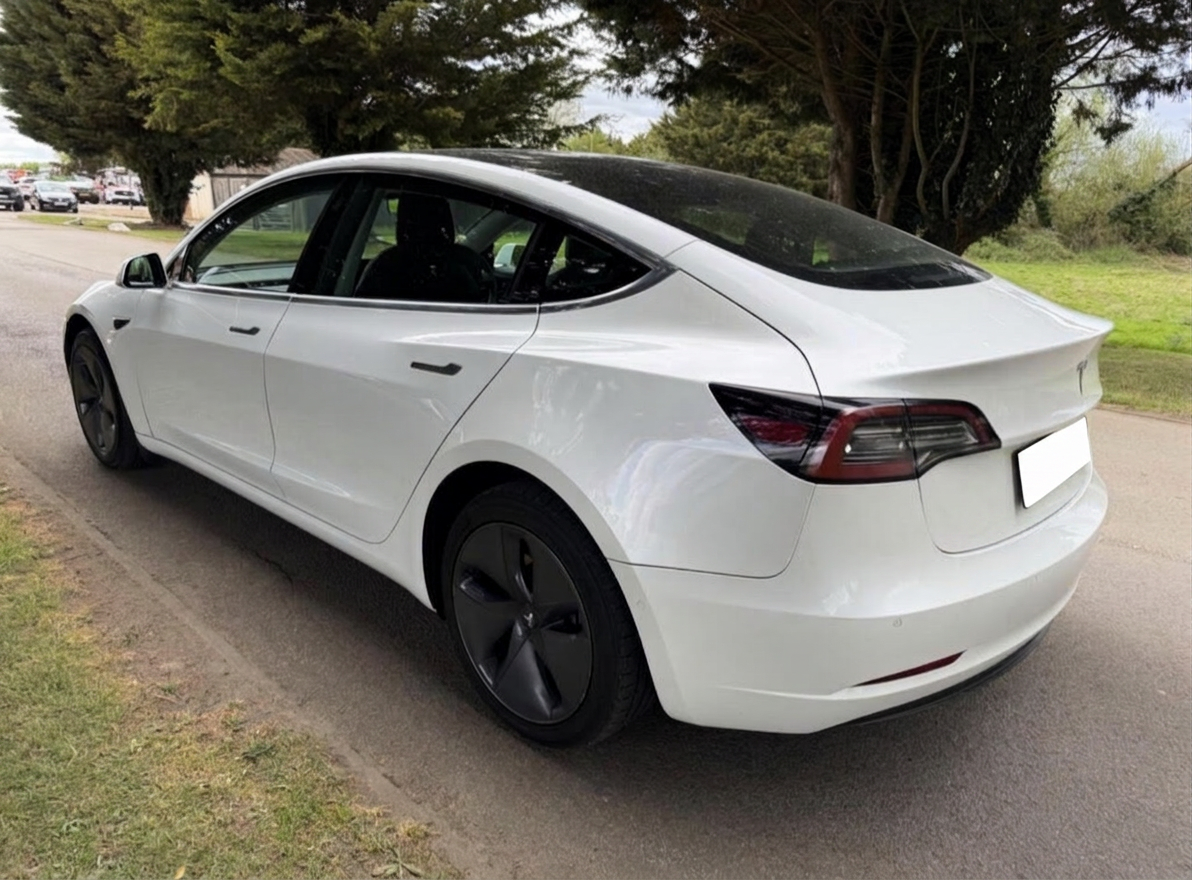 Tesla · Rear Profile